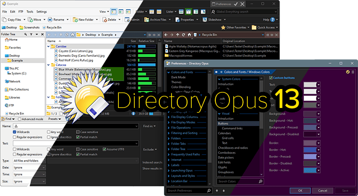 Directory Opus Pro Full Espanol